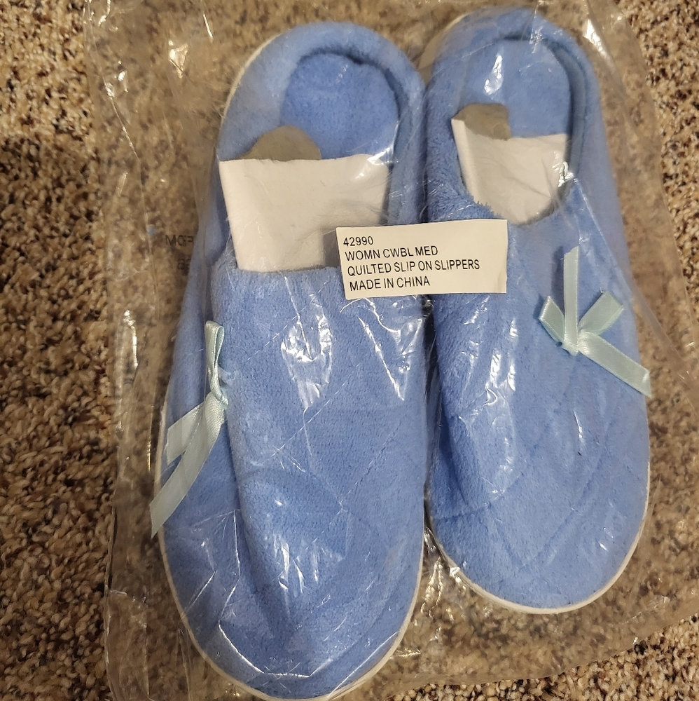 Women's blue slippers